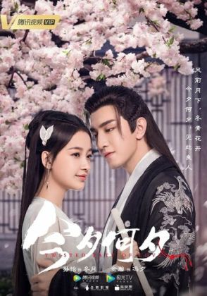 Какая сегодня ночь!