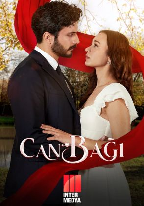 Струны любви