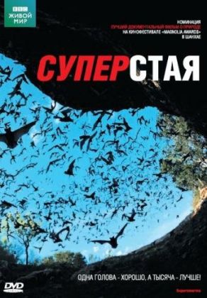 BBC: Суперстая