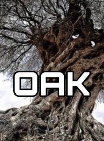 Дуб