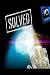 Раскрытые преступления (2008)