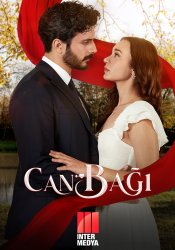 Струны любви (2025)