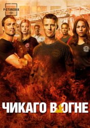 Чикаго в огне (2013)