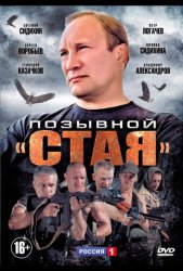Позывной «Стая» (2013)